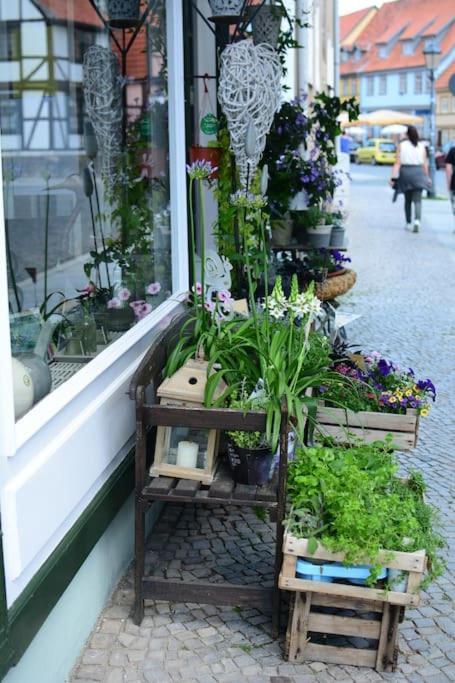 Schoene Ferienwohnung Mit Zwei Schlafzimmern Quedlinburg Luaran gambar